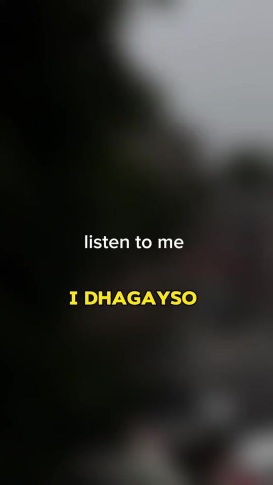 TikTok video thumbnail by haszankoshinho