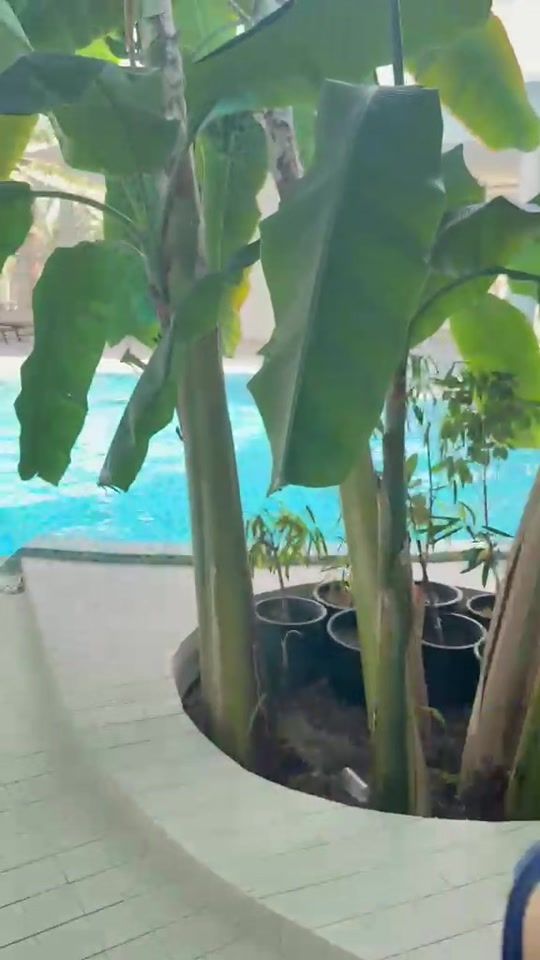 TikTok video thumbnail by fathe_5.9