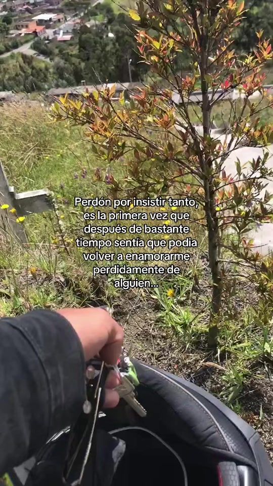TikTok video thumbnail by anderson_dvm