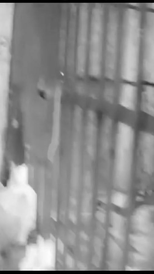 TikTok video thumbnail by ele.gavacci
