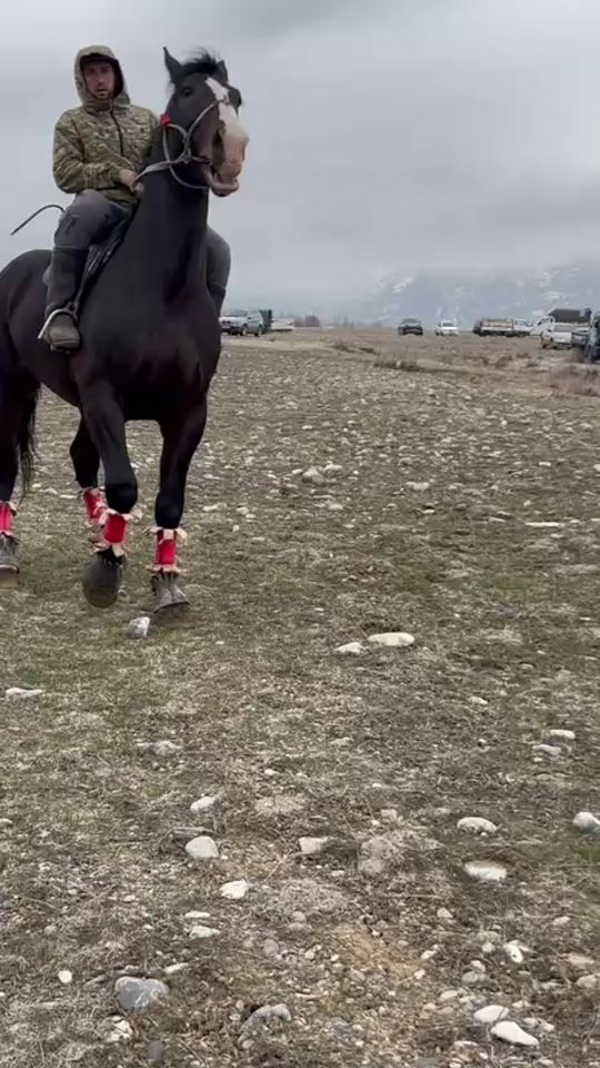 TikTok video thumbnail by te.mur7263