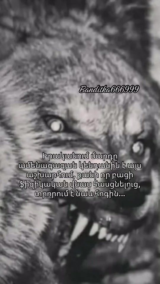 TikTok video thumbnail by usersp94yjekea