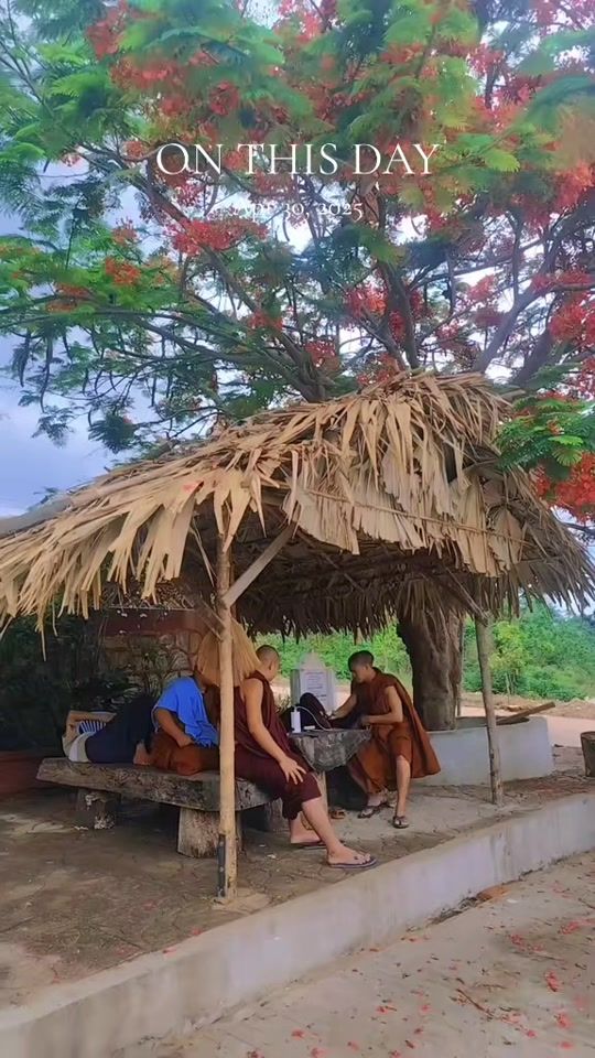 TikTok video thumbnail by ashinnandasarra