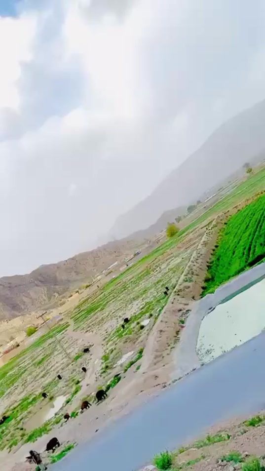 TikTok video thumbnail by abusufyan328