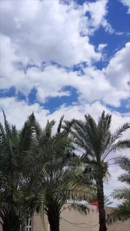 TikTok video thumbnail by alab_dzs