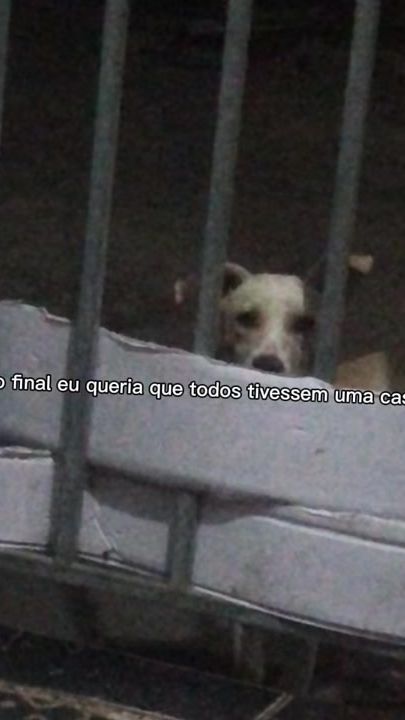 TikTok video thumbnail by offco_lly