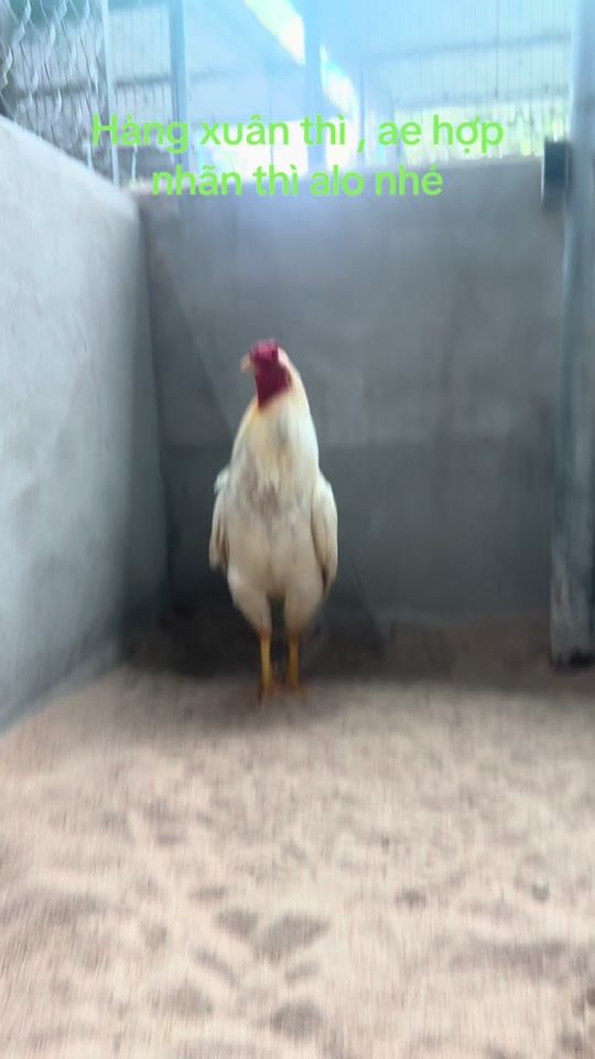TikTok video thumbnail by bo.gi63