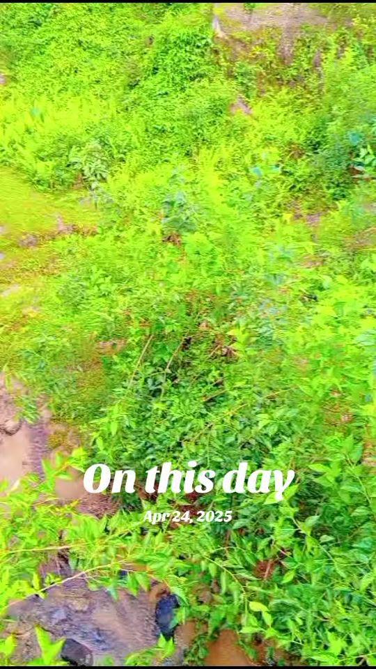 TikTok video thumbnail by md.shami38