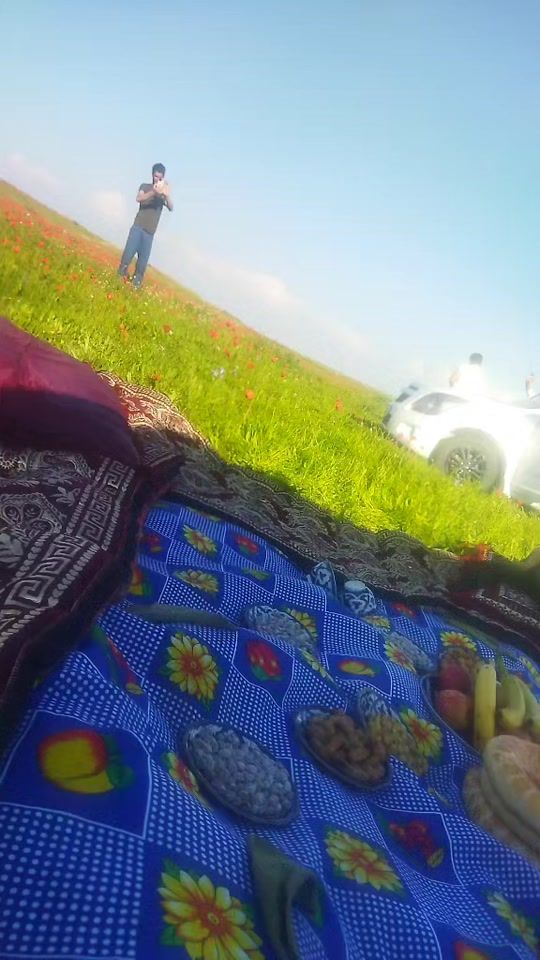 TikTok video thumbnail by user825473