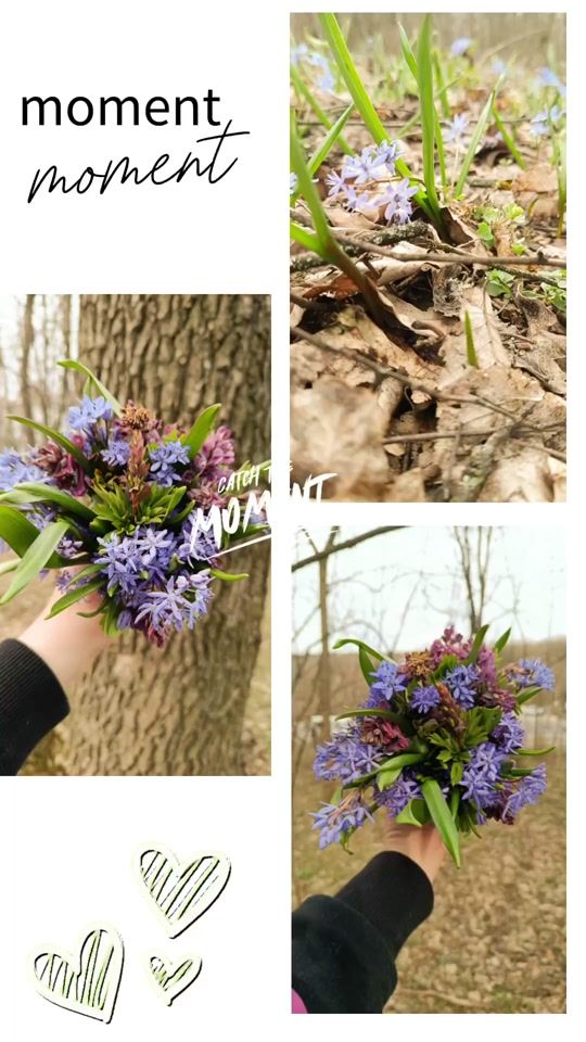 TikTok video thumbnail by irca86