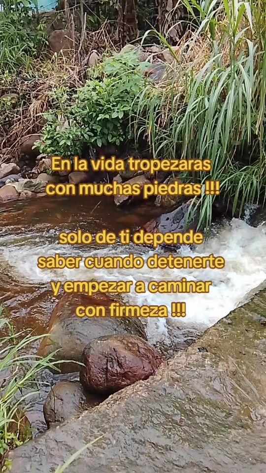 TikTok video thumbnail by nacarigo