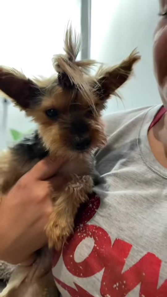 TikTok video thumbnail by cambahi