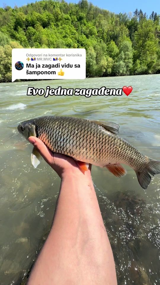 TikTok video thumbnail by ismir.kvakic
