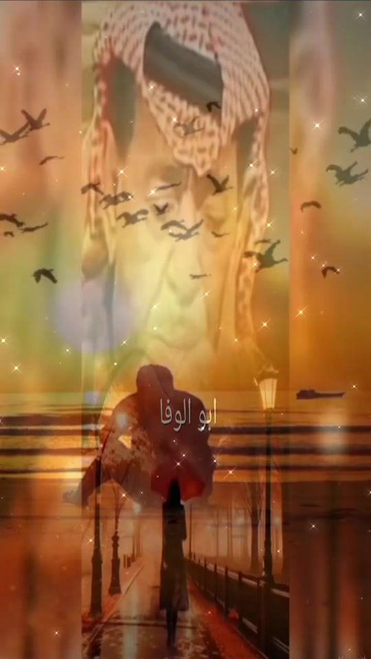 TikTok video thumbnail by ....aboalwfa