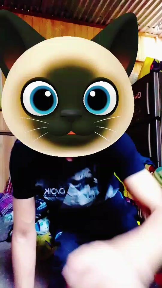 TikTok video thumbnail by soyfaraon2