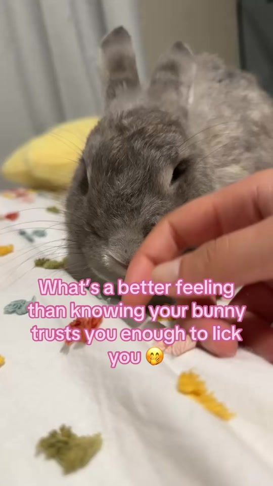 TikTok video thumbnail by daonlymami
