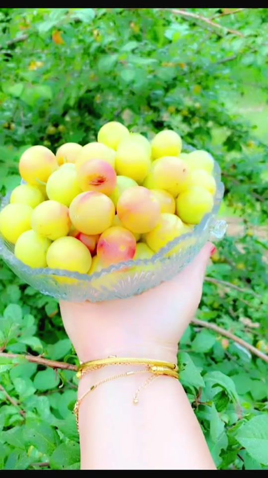 TikTok video thumbnail by xaja__xan