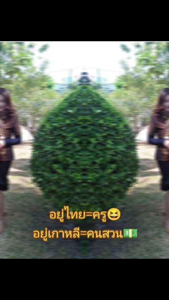 TikTok video thumbnail by yuwadee.la.city