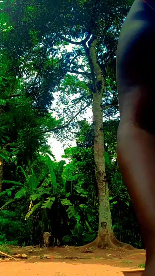 TikTok video thumbnail by filomenasimedo