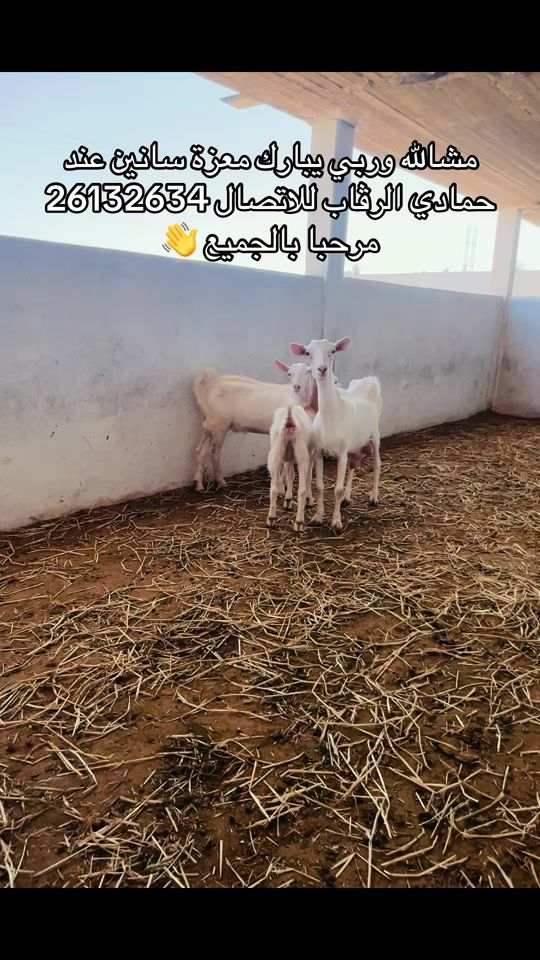 TikTok video thumbnail by baha.hamdi116