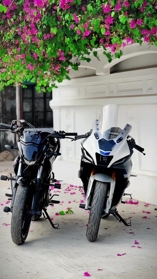 TikTok video thumbnail by silvey_