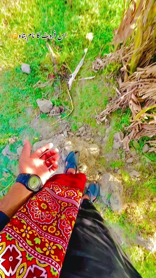 TikTok video thumbnail by irfankingc1