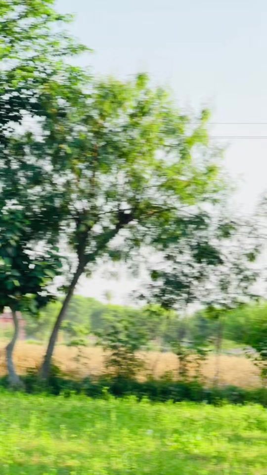 TikTok video thumbnail by mrchotto_72