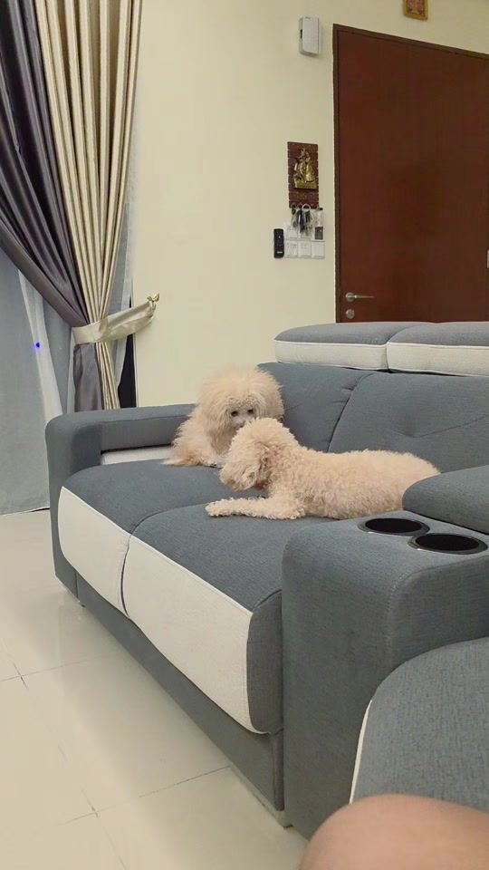 TikTok video thumbnail by tamilachi360