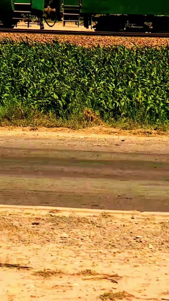 TikTok video thumbnail by aslambloch468