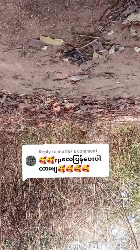 TikTok video thumbnail by usernd3krog1re
