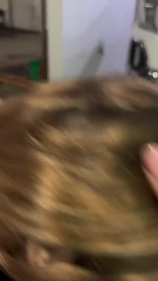 TikTok video thumbnail by mlbbcreatorbase2021