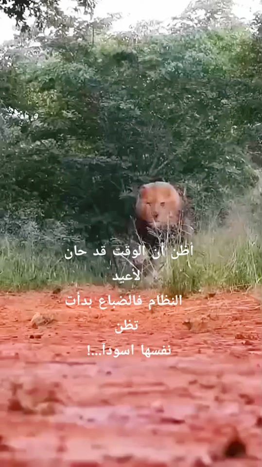 TikTok video thumbnail by u123456ux