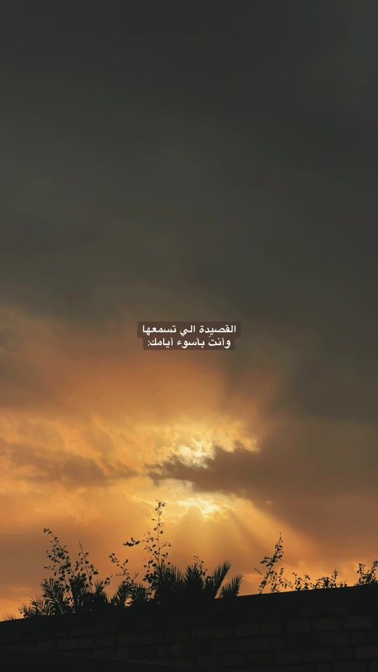 TikTok video thumbnail by 167.03