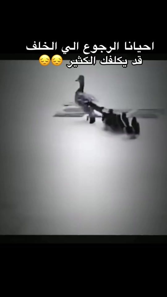 TikTok video thumbnail by ayman.azzta