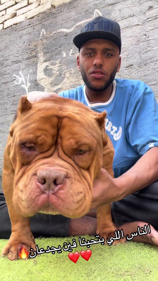 TikTok video thumbnail by abdallah.mamdoh54