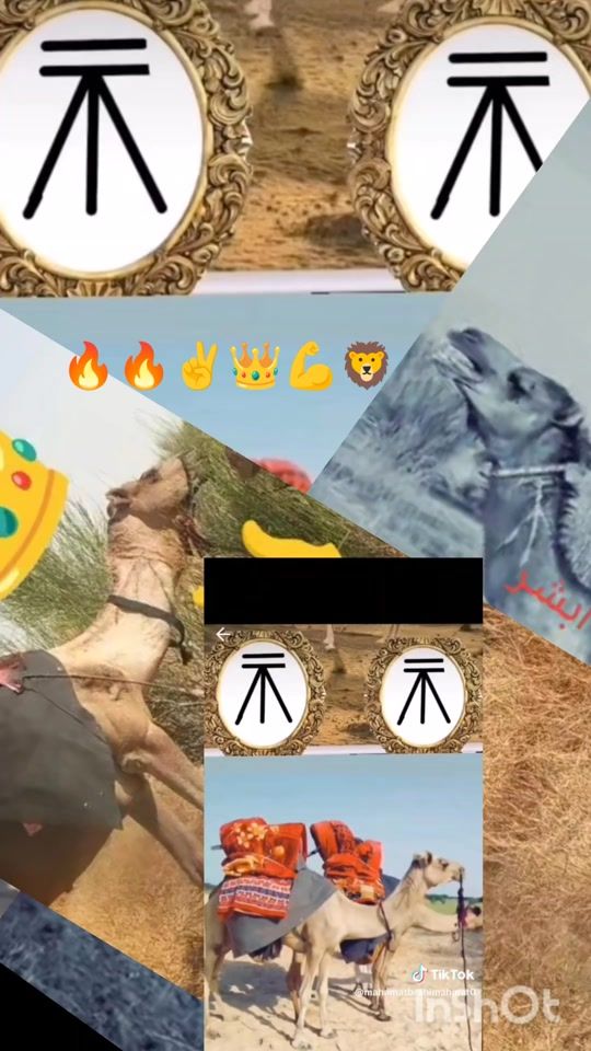TikTok video thumbnail by user7143076987230