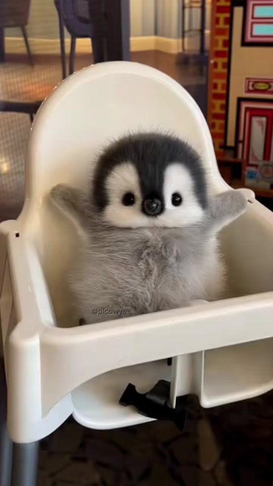 TikTok video thumbnail by picowya