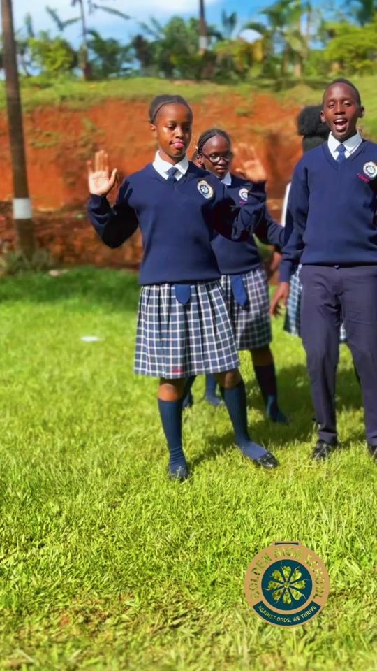 TikTok video thumbnail by golden_high_school