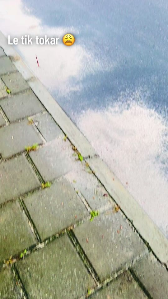 TikTok video thumbnail by user3342458364919