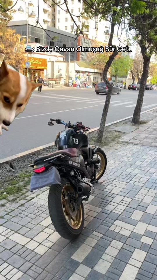 TikTok video thumbnail by 666vaska