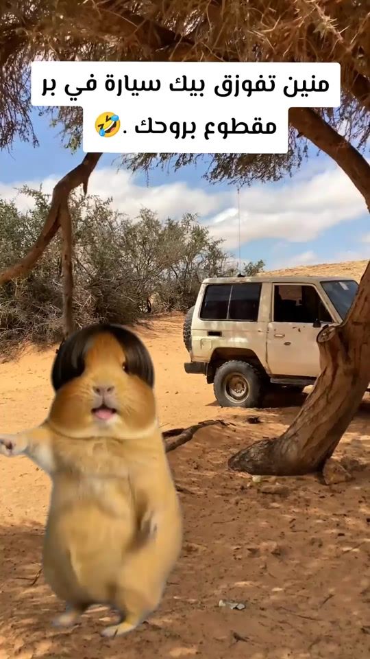 TikTok video thumbnail by zntanaa