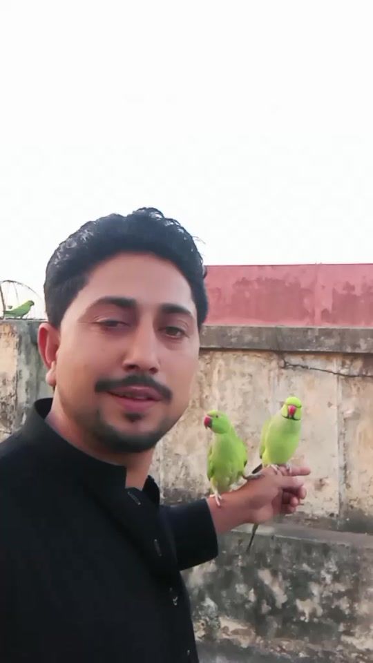 TikTok video thumbnail by sanaullah8934