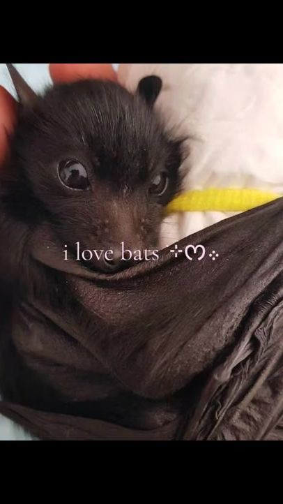 TikTok video thumbnail by valenfeerv_