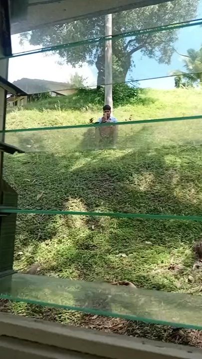 TikTok video thumbnail by pusai18