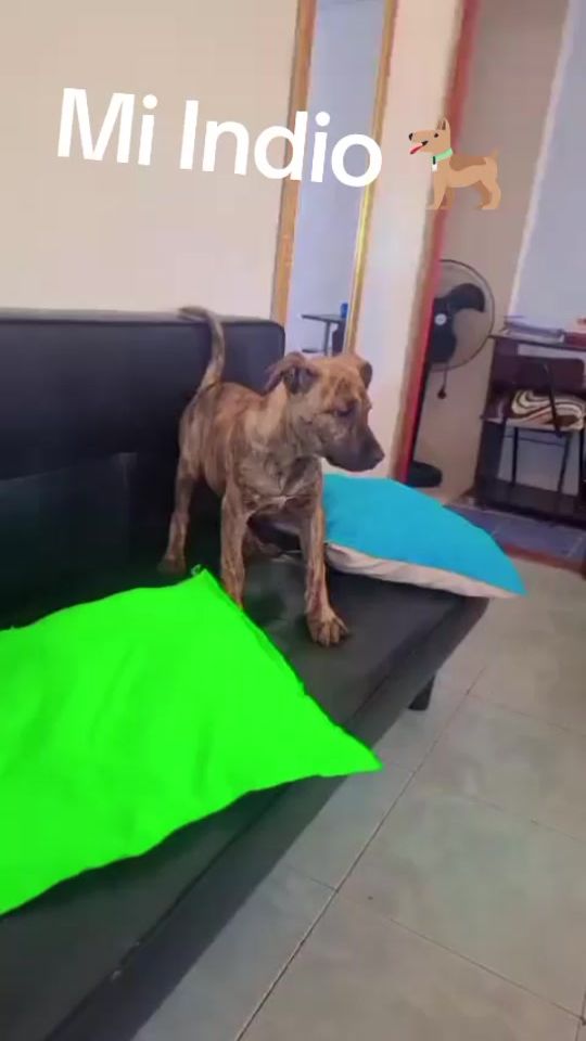 TikTok video thumbnail by maria_25._1