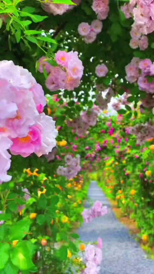 TikTok video thumbnail by maye38390