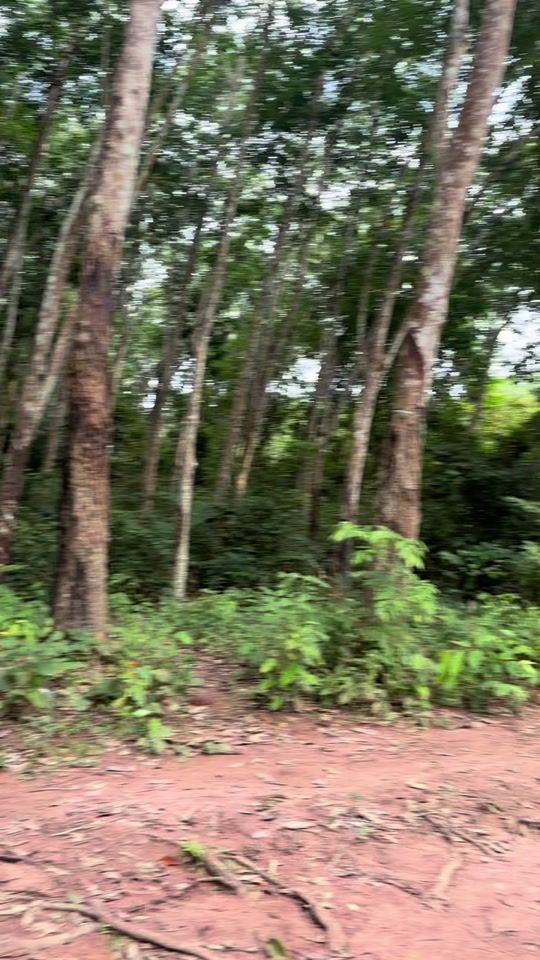 TikTok video thumbnail by useraiubdmv64r