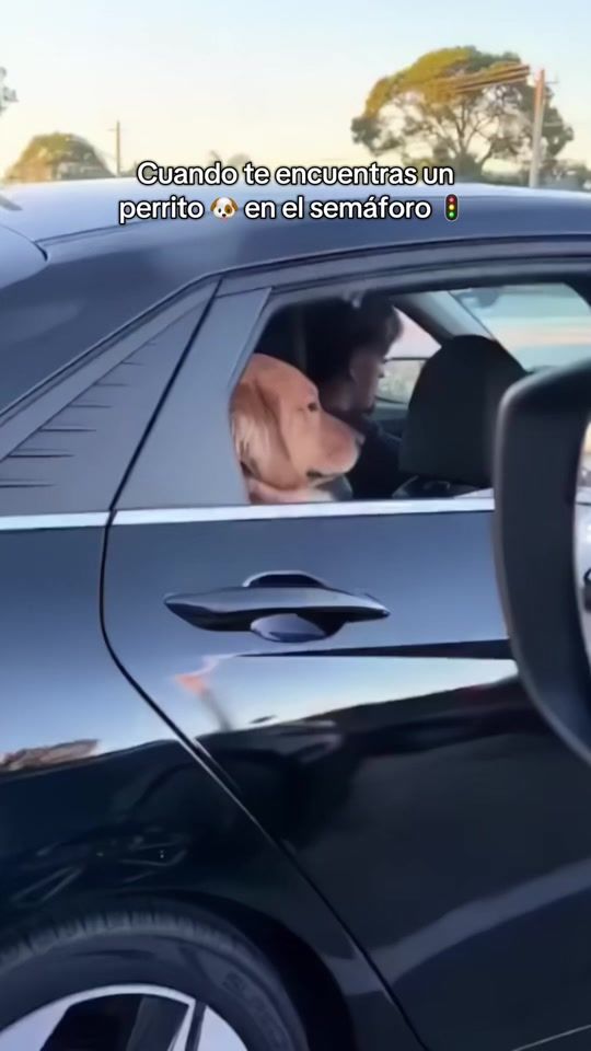 TikTok video thumbnail by alexymoni