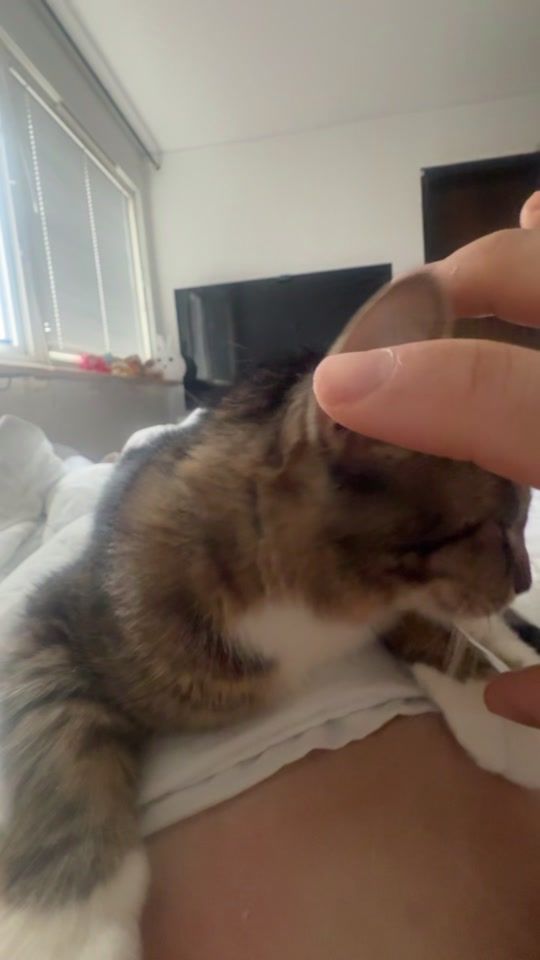 TikTok video thumbnail by maykap__1