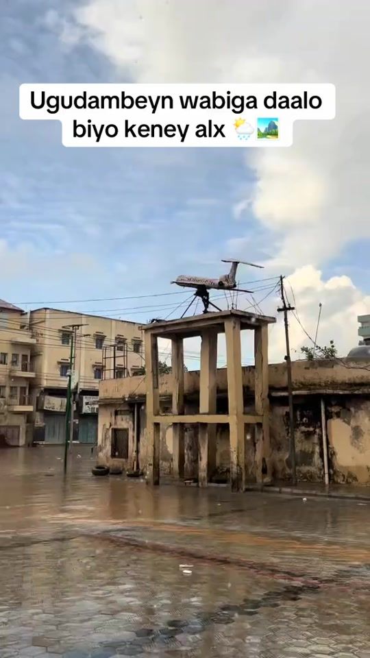 TikTok video thumbnail by meedbarte